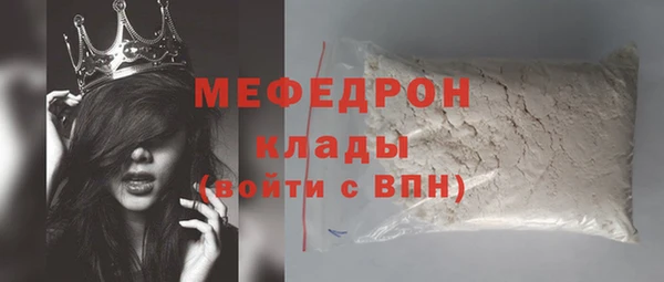 индика Новодвинск