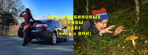прущие грибы Алексин